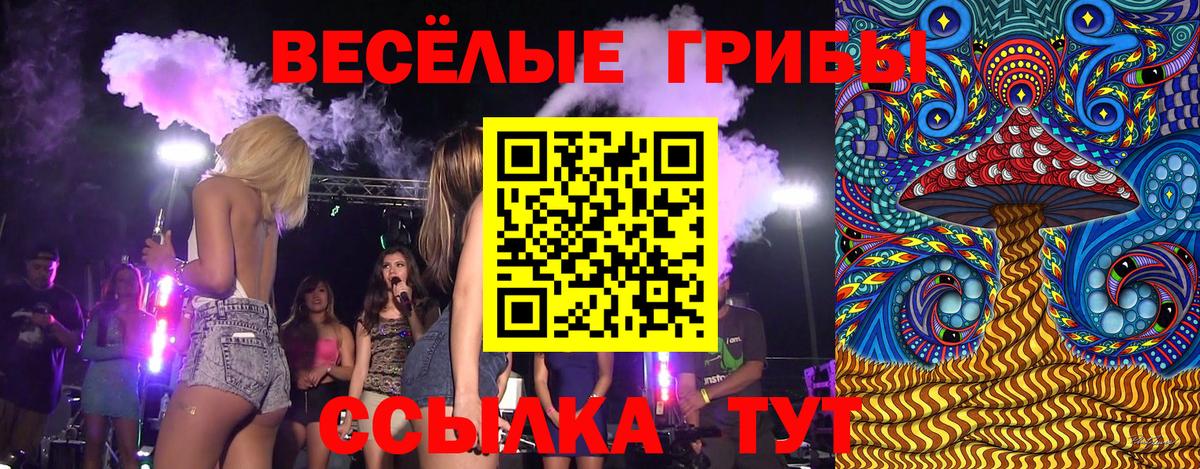 Псилоцибиновые грибы мицелий  наркошоп  Ачхой-Мартан  Галлюциногенные грибы MAGIC MUSHROOMS 