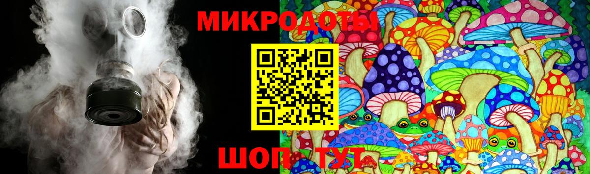 Псилоцибиновые грибы Cubensis  Галлюциногенные грибы Psilocybe  Ачхой-Мартан  Вход с VPN 